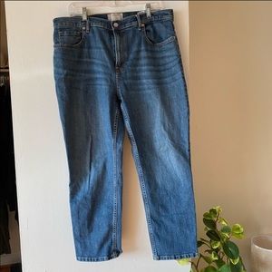 Everlane 'The Cheeky' Crop Denim Jeans 33